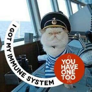 Meet your Posher, Belinda